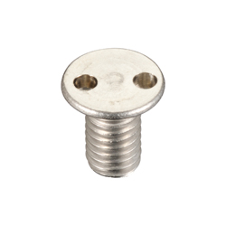 Tamperproof Screw, Two-hole Small Flat Head Screw (SP020512) 