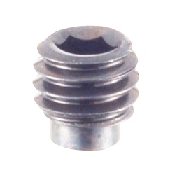 Hex Socket Head Set Screw, Extended Point, Inch Size (IN18.02518.100) 