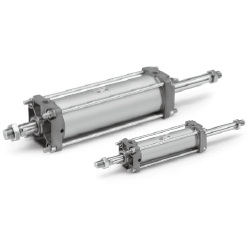 CA2W Series Air Cylinder, Standard Type: Double Acting, Double Rod (Standard / Heat Resistant) (CA2WB50TF-100Z) 