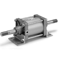 CS2W Series Double Rod Type Air Cylinder (CDS2WF140-250) 
