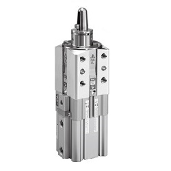 M Series Pin Clamp Cylinder (CKQ/CLKQ) (CKQGMD50-249RALZ) 