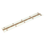 Long Hinge for Installation in Bus Interiors B-807 (B-807-GOLD) 