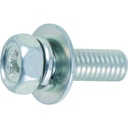 Bolts with Washers (Upset Type) (B680520) 