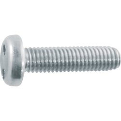 Two-Hole Pan Head Screw (Stainless Steel) (B109-0410) 