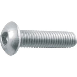 Triangular hole button bolt (stainless steel) (B101-0520) 