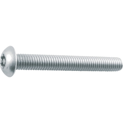 6 rob button bolt (stainless steel) (B106-0310) 