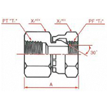 PT Connection PF30° MIS Female Swivel Connector