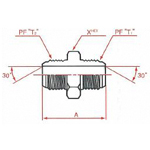 Both Ends PF30°FCS Male/Female Flare Union 