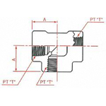 PT Connection Screw Down Female Screw T