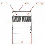 PT Connection Screw Down Socket