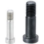 Bearing Shaft Screws Image