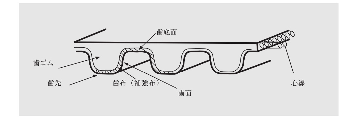 Tooth rubber / tooth tip / tooth cloth (reinforcing cloth) / tooth bottom / tooth surface / core line