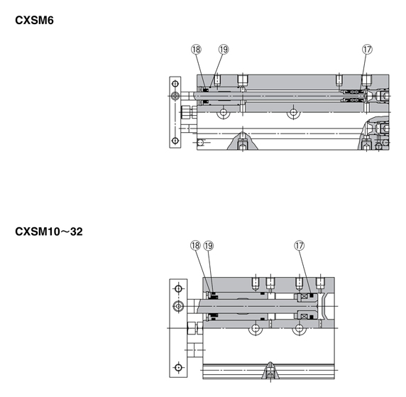 Structural drawing of Dual Rod Cylinder CXS Series seal set CXSM type