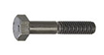 Stainless Steel Hex Bolts