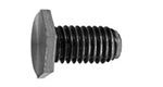 Extra-Low Head Hex Bolt