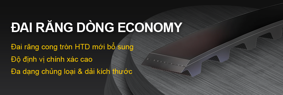 Đai răng MISUMI Economy series