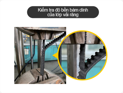 Kiểm tra độ bền bám dính của lớp vải răng